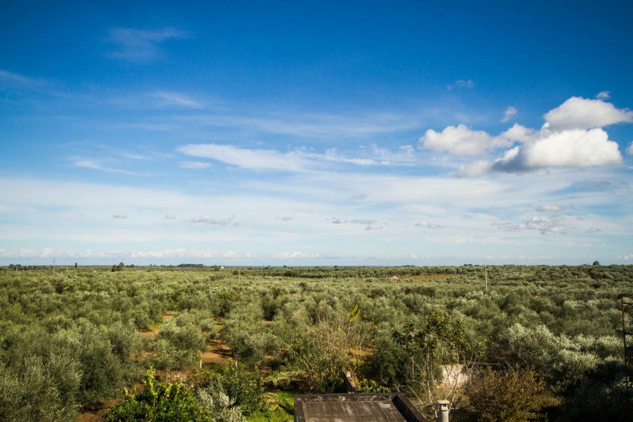B&B Giordano Mariotto Экстерьер фото